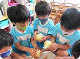 午前睡眠（0歳）必要な園児のみ・室内外遊び・散歩（乳児・幼児）・講座プログラム（3～5歳）