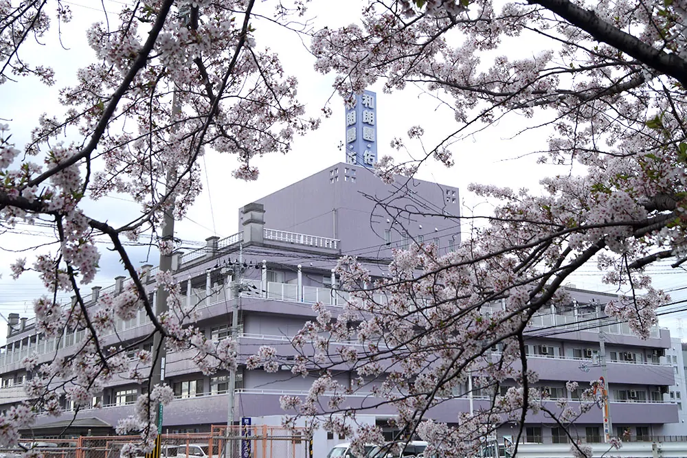 お花見